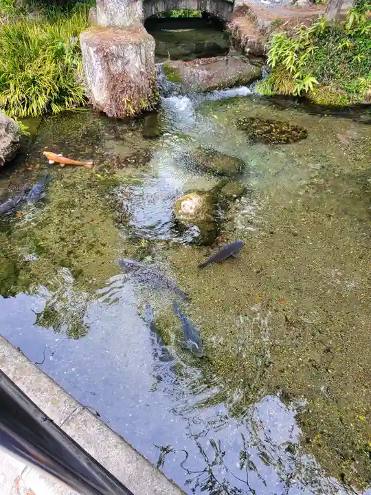 涌釜神社(栃木県)
