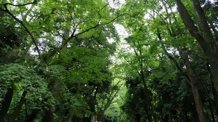 賀茂御祖神社(下鴨神社)の{uncategorized: "未分類", other: "その他", undefined: "問題あり", building: "その他建物", grave: "お墓", sacred_gate: "鳥居", guardian: "狛犬", statue: "像", buddha: "仏像", history: "歴史", nature: "自然", garden: "庭園", animal: "動物", pagoda: "塔", temizu: "手水舎", mountain_gate: "山門・神門", sanctuary: "本殿・本堂", subordinate: "末社・摂社", art: "芸術", scenery: "景色", jizo: "地蔵", ema: "絵馬", goshuin: "御朱印", omikuji: "おみくじ", items: "授与品その他", amulet: "お守り", goshuincho: "御朱印帳", eats: "食事", festival: "お祭り", votive_dance: "神楽", shichigosan: "七五三参", wedding: "結婚式", experience: "体験その他", initially: "初詣", around: "周辺", anti_infection: "感染症対策"}