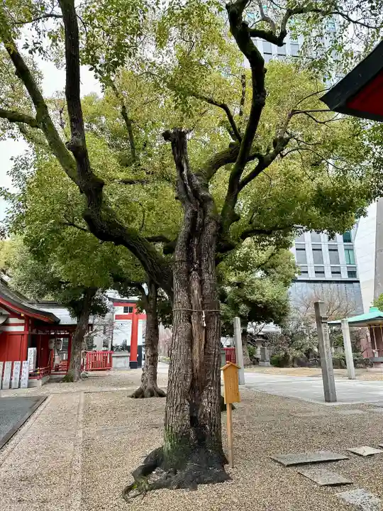 御霊神社(大阪府)