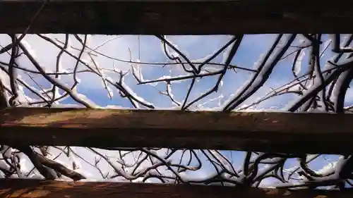 尾張大國霊神社（国府宮）の自然