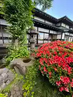 写経の合間に庭園の花をお楽しみください。