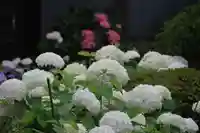 豊景神社の庭園