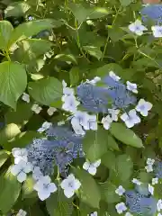 若宮八幡社(愛知県)