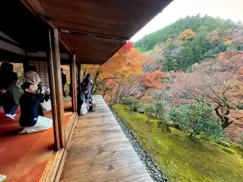 高山寺の{uncategorized: "未分類", other: "その他", undefined: "問題あり", building: "その他建物", grave: "お墓", sacred_gate: "鳥居", guardian: "狛犬", statue: "像", buddha: "仏像", history: "歴史", nature: "自然", garden: "庭園", animal: "動物", pagoda: "塔", temizu: "手水舎", mountain_gate: "山門・神門", sanctuary: "本殿・本堂", subordinate: "末社・摂社", art: "芸術", scenery: "景色", jizo: "地蔵", ema: "絵馬", goshuin: "御朱印", omikuji: "おみくじ", items: "授与品その他", amulet: "お守り", goshuincho: "御朱印帳", eats: "食事", festival: "お祭り", votive_dance: "神楽", shichigosan: "七五三参", wedding: "結婚式", experience: "体験その他", initially: "初詣", around: "周辺", anti_infection: "感染症対策"}
