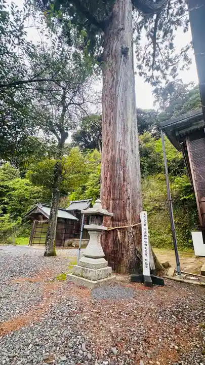 宇波西神社(福井県)