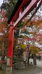 鍬山神社(京都府)