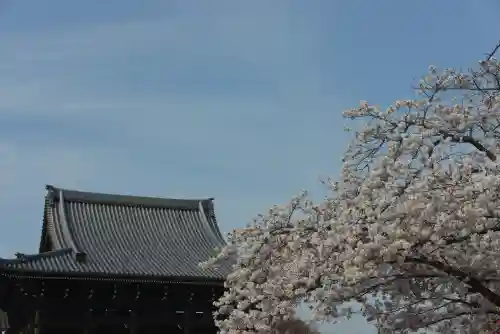 金蔵寺(千葉県)