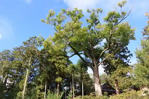 阿久津「田村神社」（郡山市阿久津町）旧社名：伊豆箱根三嶋三社(福島県)