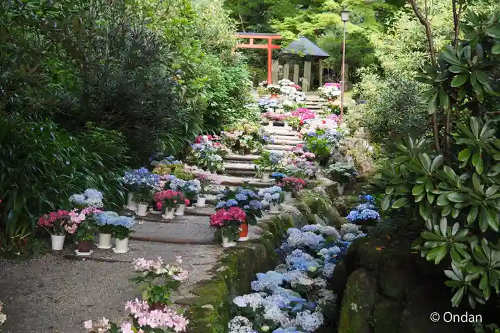 岡寺(龍蓋寺)(奈良県)