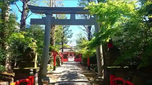 馬橋稲荷神社の鳥居