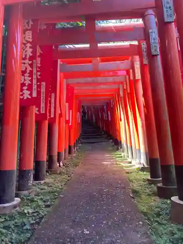 佐助稲荷神社の鳥居