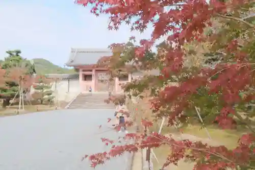 仁和寺のその他建物