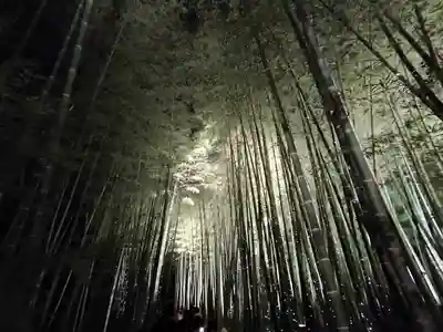 高台寺（高台寿聖禅寺・高臺寺）(京都府)