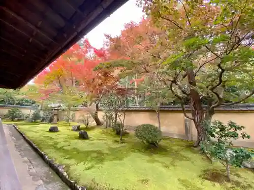 興臨院の庭園