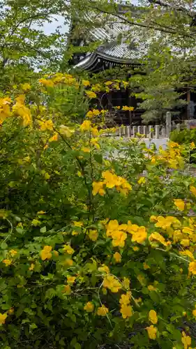 本法寺(京都府)