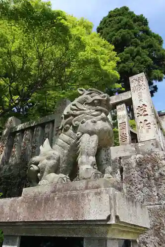 大山阿夫利神社の狛犬