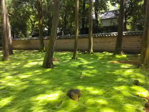 唐招提寺の庭園