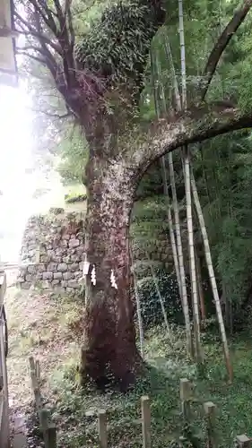 久能山東照宮(静岡県)