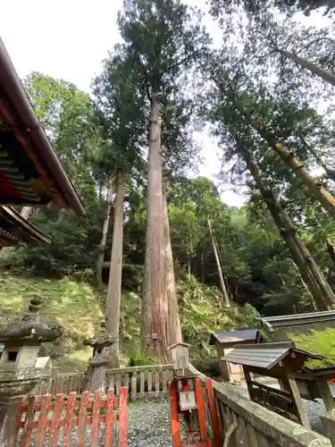 鳳来山東照宮の庭園