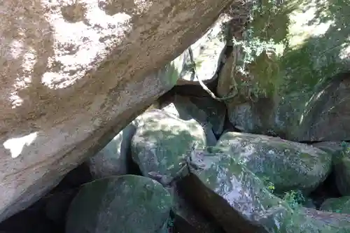 磐船神社の自然