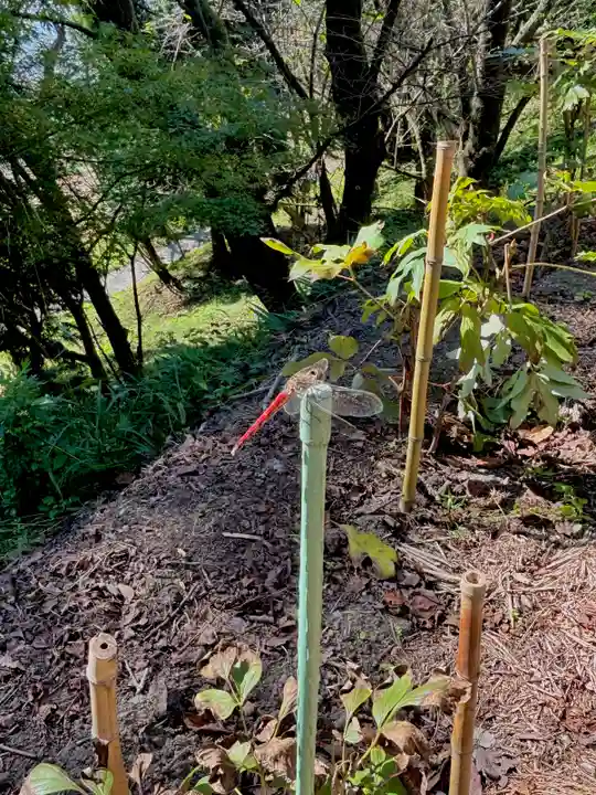 蚊里田八幡宮の動物