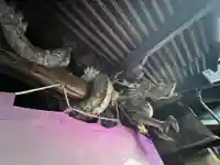 手力雄神社(岐阜県)