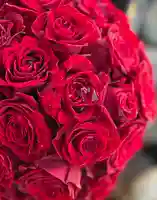 上尾御嶽神社の手水舎