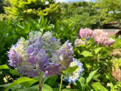 普門寺(岡山県)