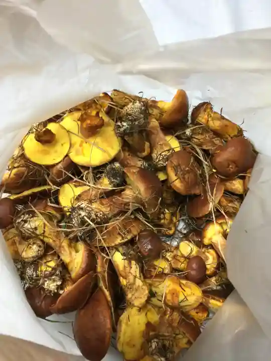 旭岱大山神社(北海道)