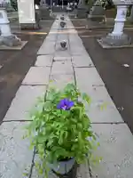 伏木香取神社(茨城県)