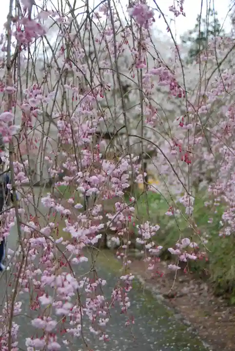 徳佐八幡宮(山口県)