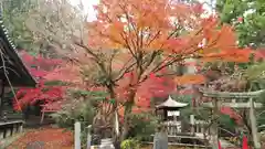 宝積寺の建物その他