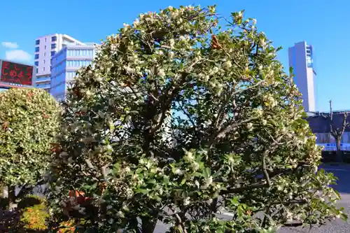 愛宕神社の周辺