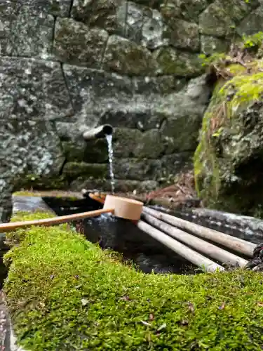 金櫻神社の{uncategorized: "未分類", other: "その他", undefined: "問題あり", building: "その他建物", grave: "お墓", sacred_gate: "鳥居", guardian: "狛犬", statue: "像", buddha: "仏像", history: "歴史", nature: "自然", garden: "庭園", animal: "動物", pagoda: "塔", temizu: "手水舎", mountain_gate: "山門・神門", sanctuary: "本殿・本堂", subordinate: "末社・摂社", art: "芸術", scenery: "景色", jizo: "地蔵", ema: "絵馬", goshuin: "御朱印", omikuji: "おみくじ", items: "授与品その他", amulet: "お守り", goshuincho: "御朱印帳", eats: "食事", festival: "お祭り", votive_dance: "神楽", shichigosan: "七五三参", wedding: "結婚式", experience: "体験その他", initially: "初詣", around: "周辺", anti_infection: "感染症対策"}