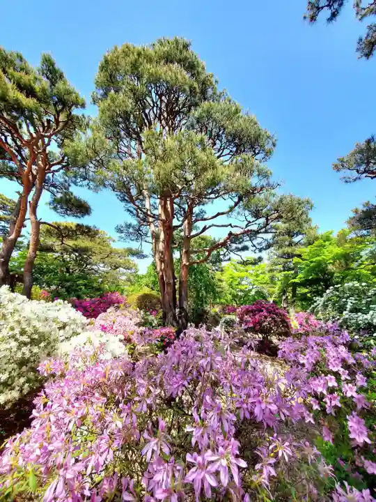 開成山大神宮(福島県)