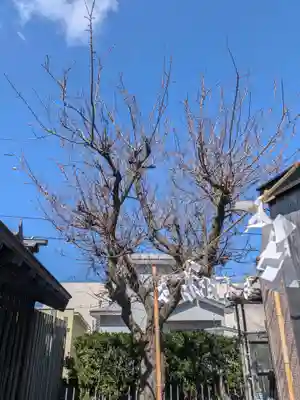 七重浜海津見神社(北海道)