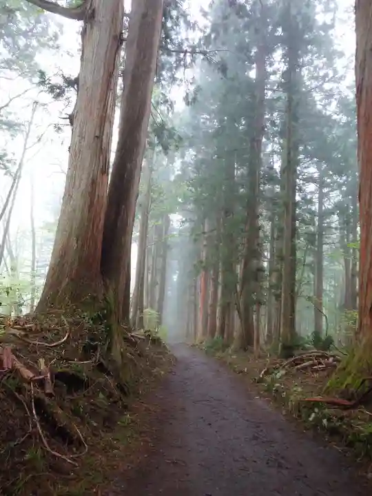 戸隠神社九頭龍社(長野県)