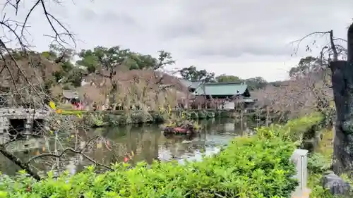三嶋大社(静岡県)
