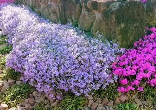 寿量山　速成寺の庭園