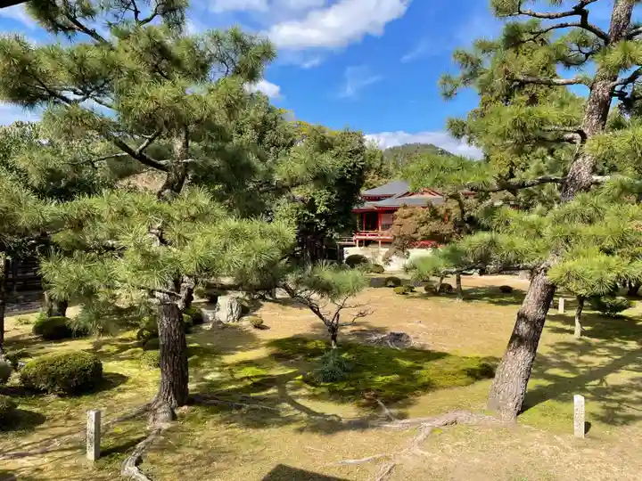 大覚寺(京都府)