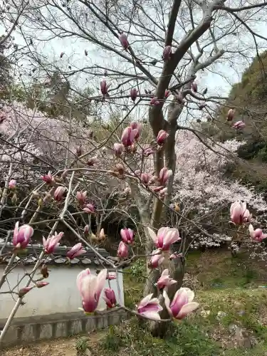 花岳寺の{uncategorized: "未分類", other: "その他", undefined: "問題あり", building: "その他建物", grave: "お墓", sacred_gate: "鳥居", guardian: "狛犬", statue: "像", buddha: "仏像", history: "歴史", nature: "自然", garden: "庭園", animal: "動物", pagoda: "塔", temizu: "手水舎", mountain_gate: "山門・神門", sanctuary: "本殿・本堂", subordinate: "末社・摂社", art: "芸術", scenery: "景色", jizo: "地蔵", ema: "絵馬", goshuin: "御朱印", omikuji: "おみくじ", items: "授与品その他", amulet: "お守り", goshuincho: "御朱印帳", eats: "食事", festival: "お祭り", votive_dance: "神楽", shichigosan: "七五三参", wedding: "結婚式", experience: "体験その他", initially: "初詣", around: "周辺", anti_infection: "感染症対策"}