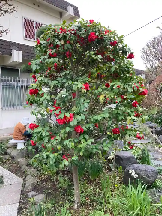 大巧寺(神奈川県)