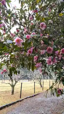 長岡天満宮(京都府)