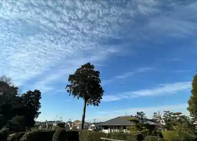 誉田八幡宮(大阪府)
