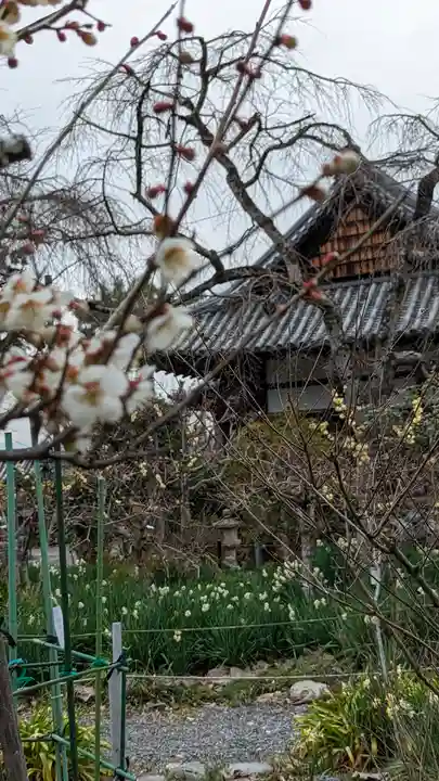 惠心院(京都府)