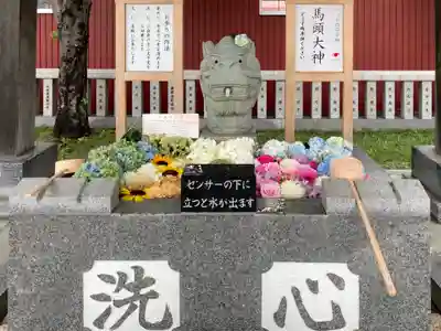 新川皇大神社の手水舎