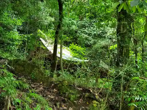 加茂神社の本殿・本堂