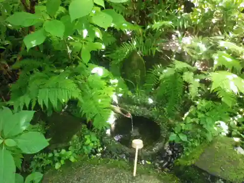 瑞泉寺の手水舎