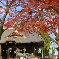 金峯神社(新潟県)