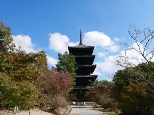仁和寺(京都府)